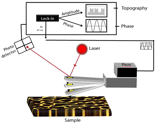 Schematic of the dynamic AFM mode operation