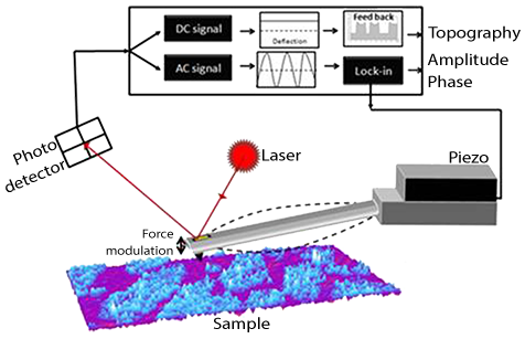 Diagram of Force Modulation Mode being conducted on a sample