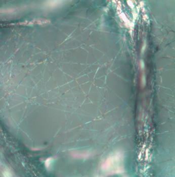 Optical Microscope Image of nanofibers