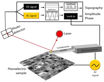 Schematic of Piezoresponse force microscopy