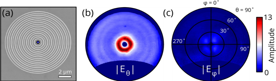Images of a Plasmonic Bullseye Grating