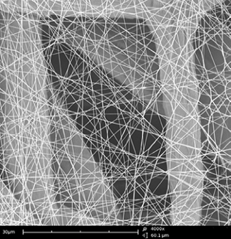 Scanning Electron Microscope image of nanofibers