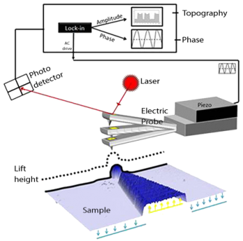 Schematic of EFM operation in lift mode