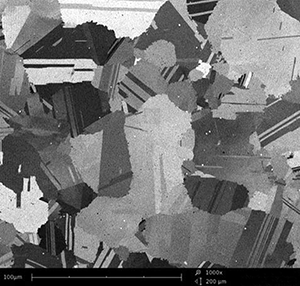 Nickel Based alloy at 1000x using Backscattered electron SEM
