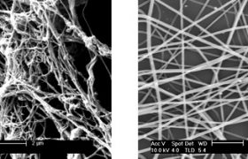 Comparison of blood vessels with electrospun fibers