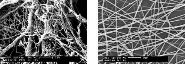 Comparison of blood vessels with electrospun fibers