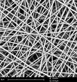 Scanning electron microscope image of electrospun fibers