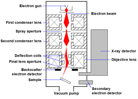 Mechanism of Scanning Electron Microscope