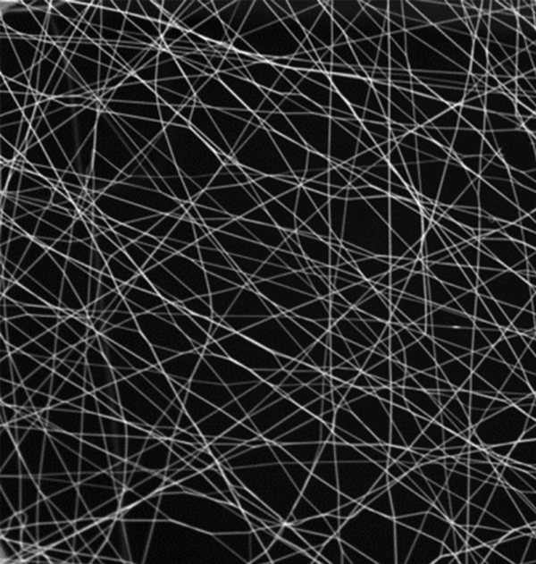 Scanning electron microscope image of spunbond fibers