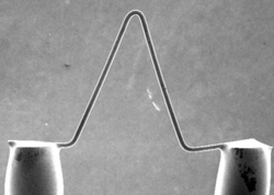 Scanning electron microscope image of a Tungsten filament