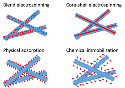 Bioactives in electrospun fibers