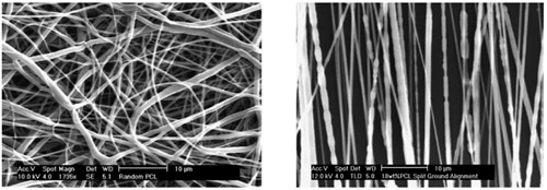 Random vs aligned electrospun PCL fibers