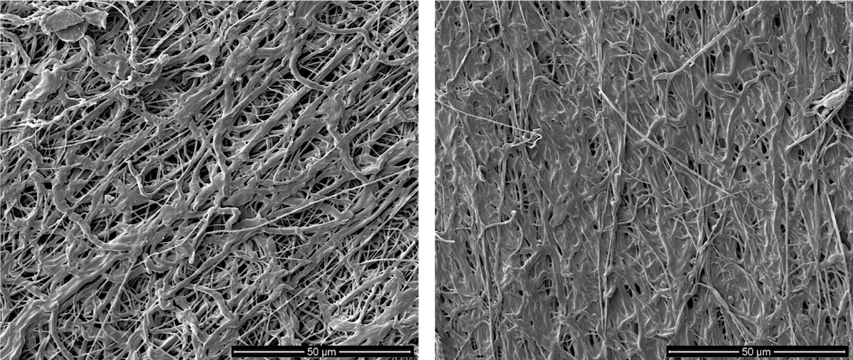 Polycaprolactone sintered at 58 and 59 degrees celsius