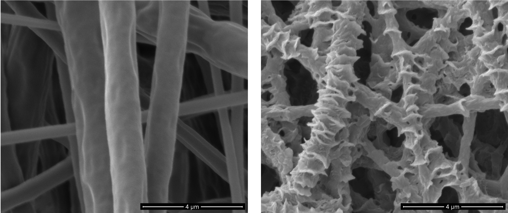 Polymer blended fibers