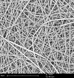 Polyvinyl alcohol nanofiber layer with Phenom SEM