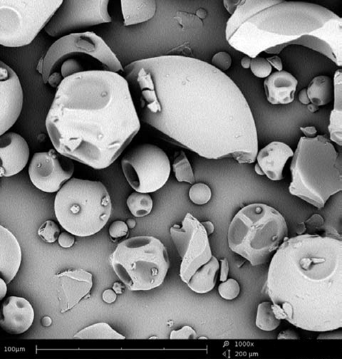 Phenom scanning electron microscope (SEM) image of pharmaceutical Kollidon 25 particles