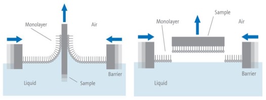 Deposition of floating monolayer onto hydrophilic solid substrate.