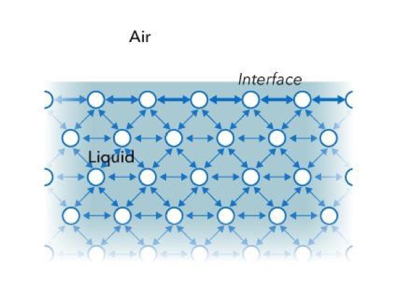 Diagram of the forces acting on liquid molecules.