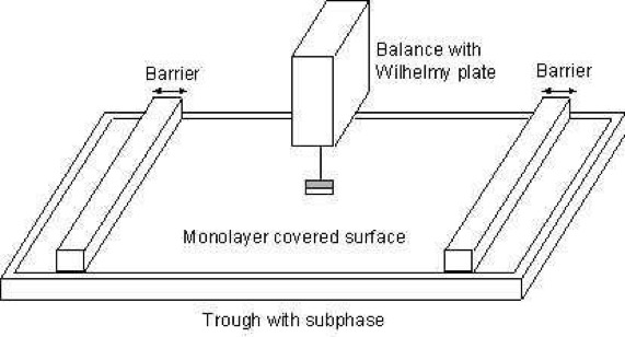 Sketch of langmuir film balance with Wilhelmy plate electrobalance.