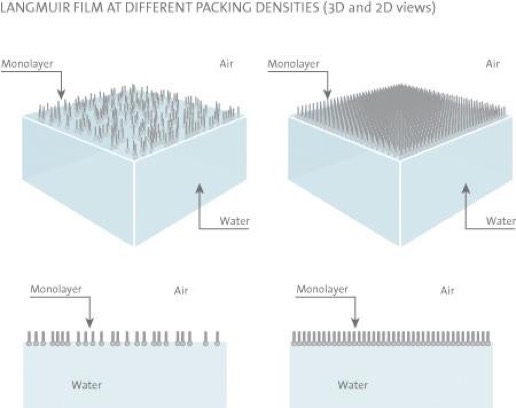 Surfactant Monolayer at air/water interface.