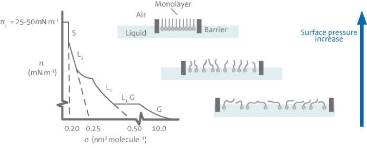 Schmatic of p-A isotherm.