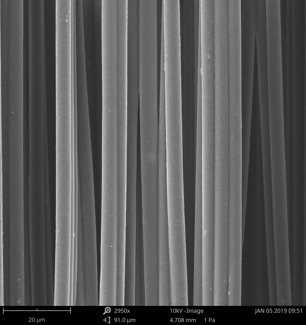 Scanning electron microscope image of aligned electrospun nanofibers
