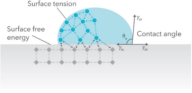 Schematic of a sessile drop and the balance of surface tensions at the three-phase contact line