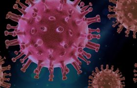 COVID-19 Virus