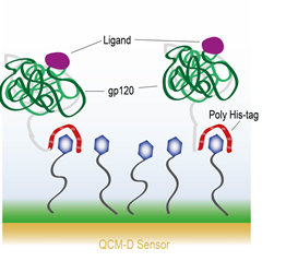 Schematic of a NTA-functionalized gold surface