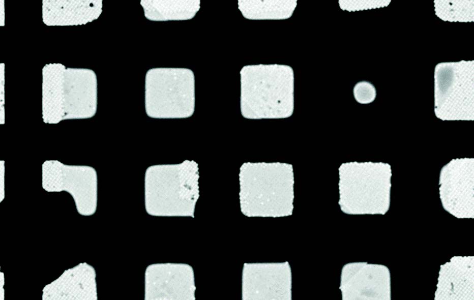 Visual quality inspection of CryoEM grid with CryoSol-World VitroJet