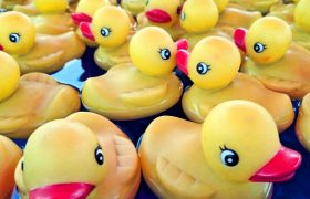 Rubber ducks floating on water