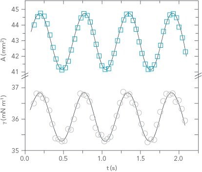 Dilatational rheology data