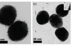 TEM images of Gold Silicon Dioxide with nickel nanoparticles from three sources