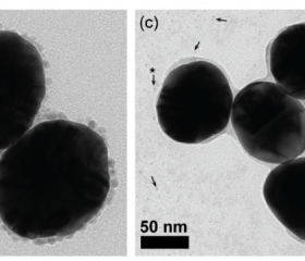 TEM images of Gold Silicon Dioxide with nickel nanoparticles from three sources