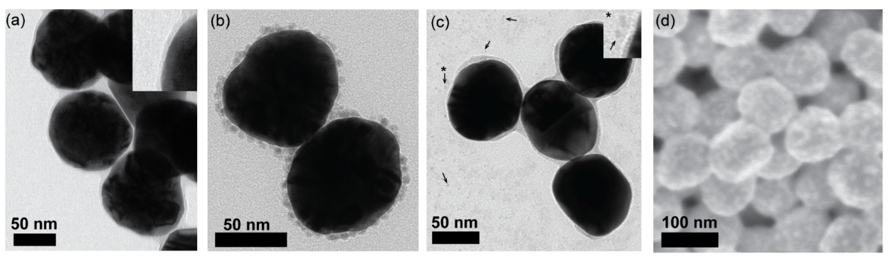 TEM images of Gold Silicon Dioxide with nickel nanoparticles from three sources