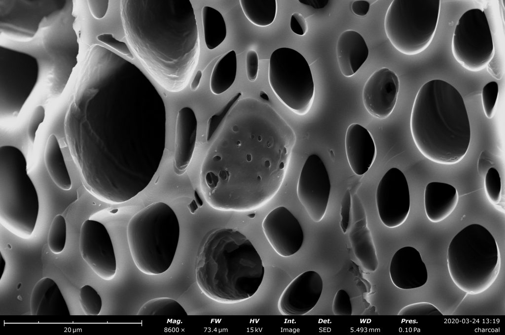 Image of charcoal imaged by the Phenom desktop SEM