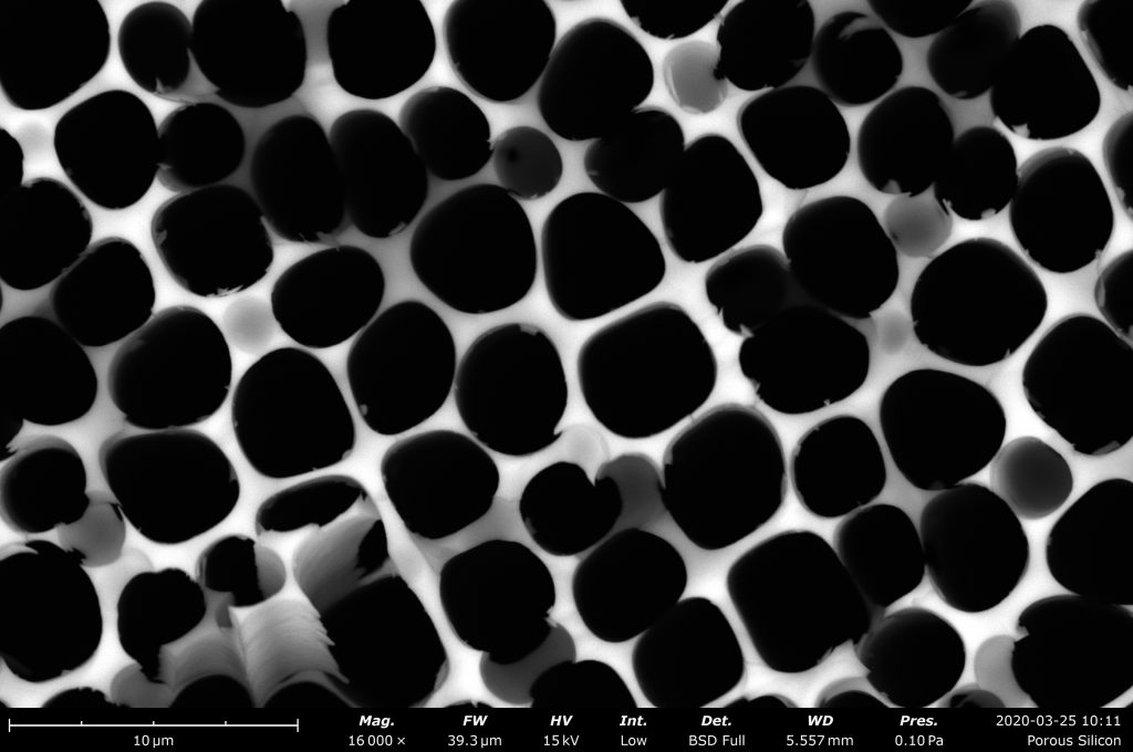 Porous silicon imaged on the Phenom Desktop SEM