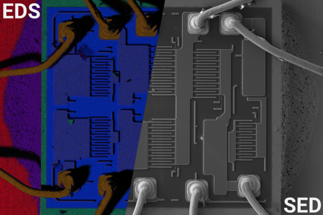 Phenom tabletop SEM image and EDS map of a circuit