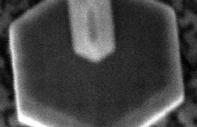 Top of an InGaN microrod LED structure