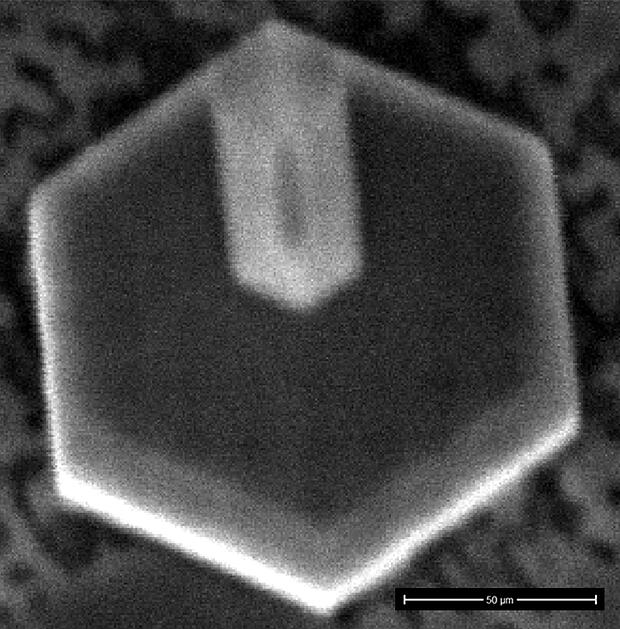 Top of an InGaN microrod LED structure