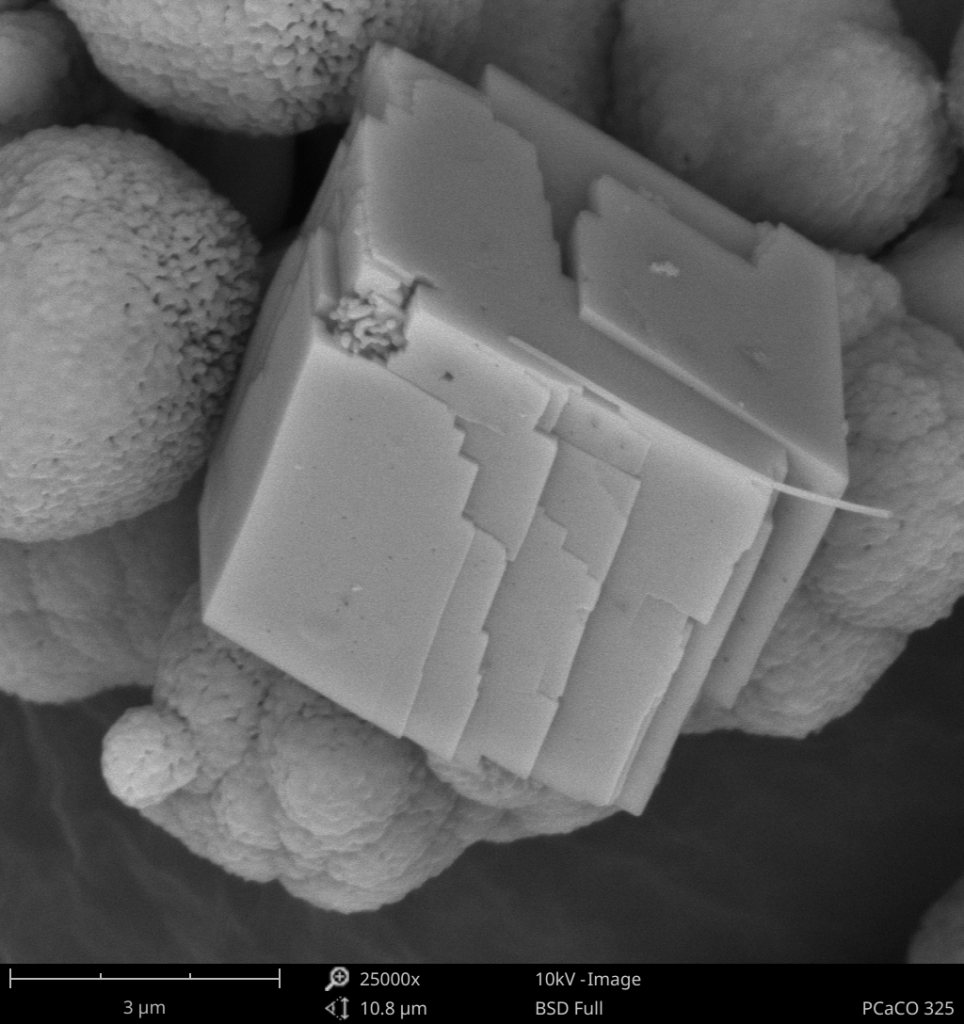 FE-SEM image of CaCO3 particle