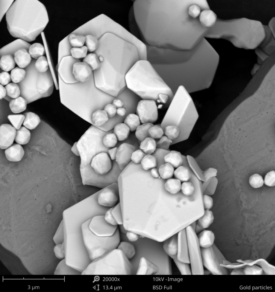 FE-SEM image of gold particles