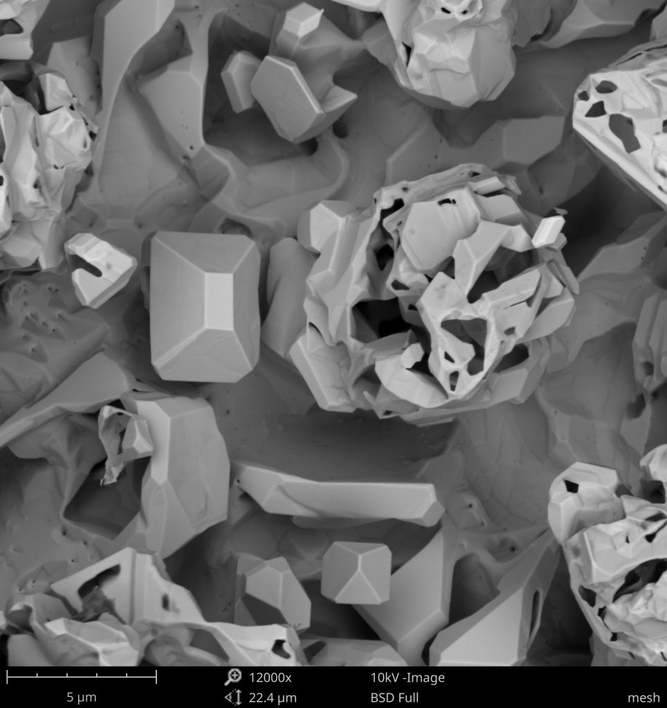 FE-SEM image of metal mesh