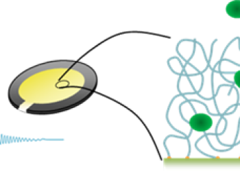 Analysis of Biopolymer Films by QCM-D