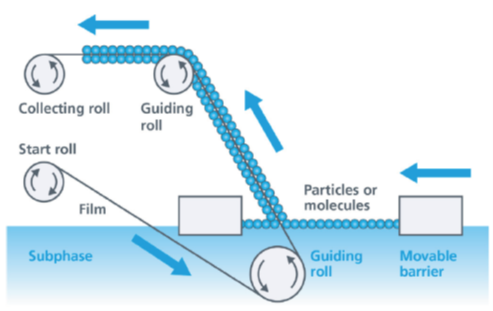 Langmuir-Blodgett roll-to-roll deposition