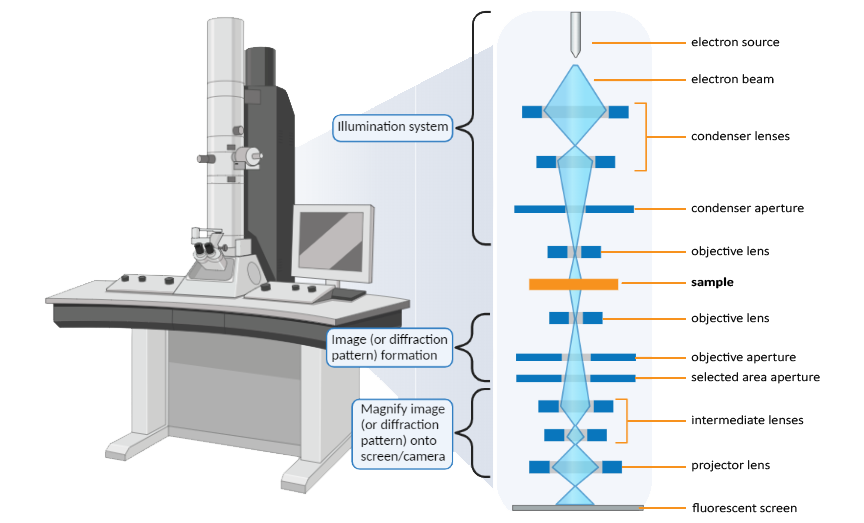 Transmission Electron Microscopy - Nanoscience Instruments