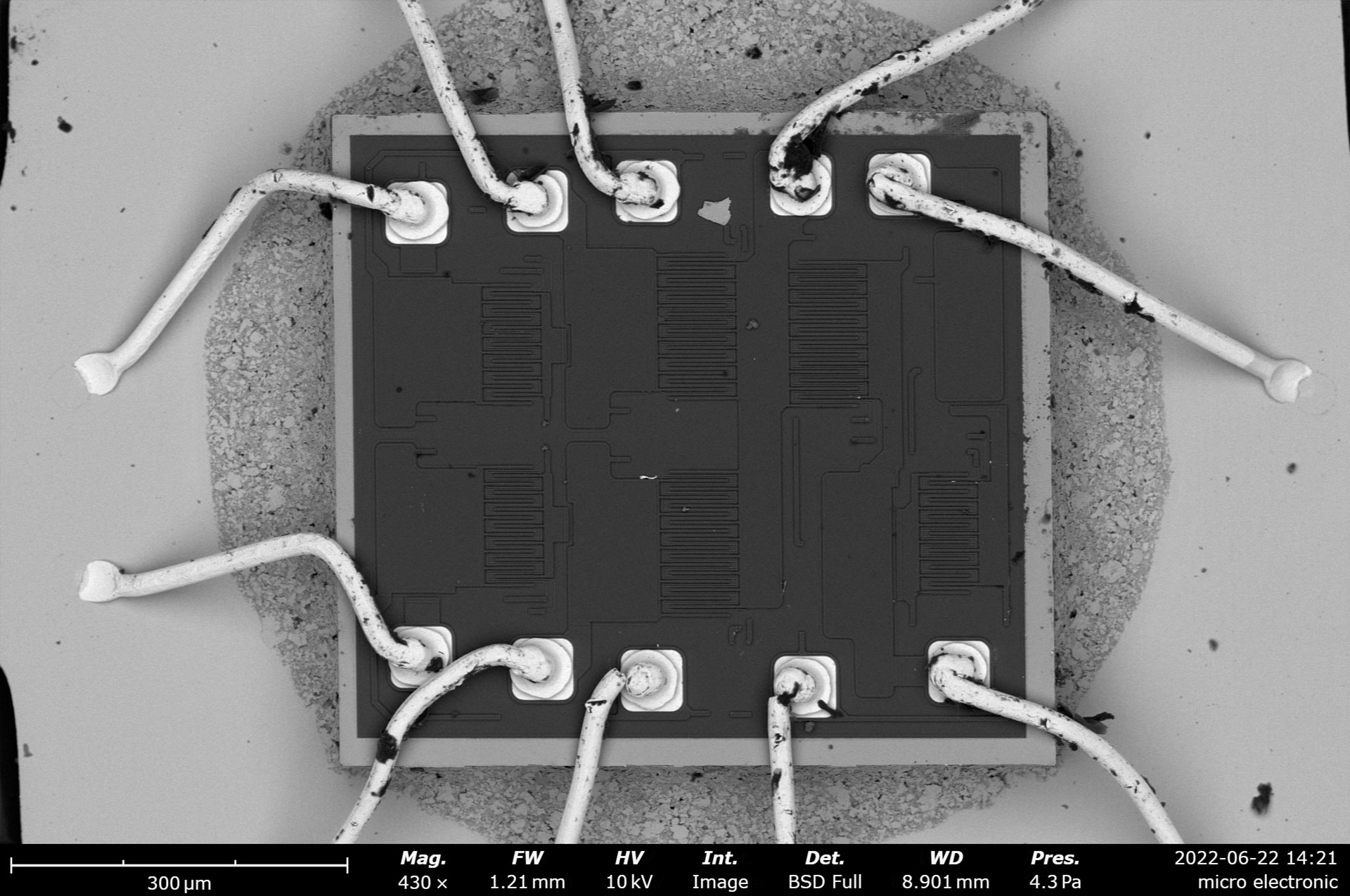 micro-electronic-bsd