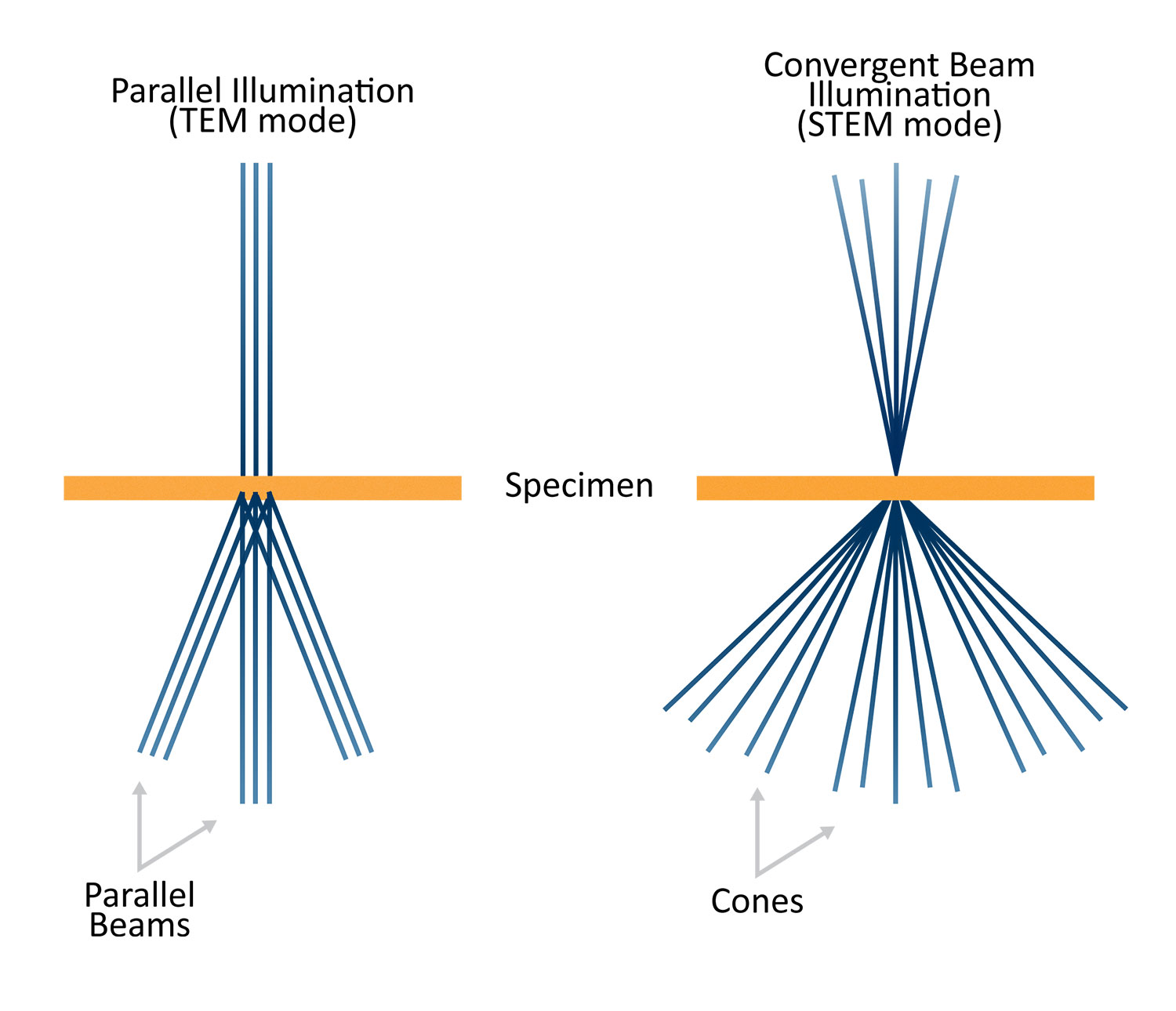 Difference between diffracted beams formed with parallel (left) and convergent beam (right) illumination.