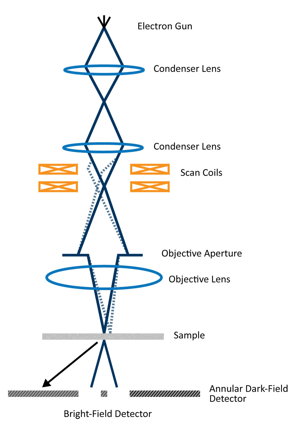 Scanning Transmission Electron Microscopy