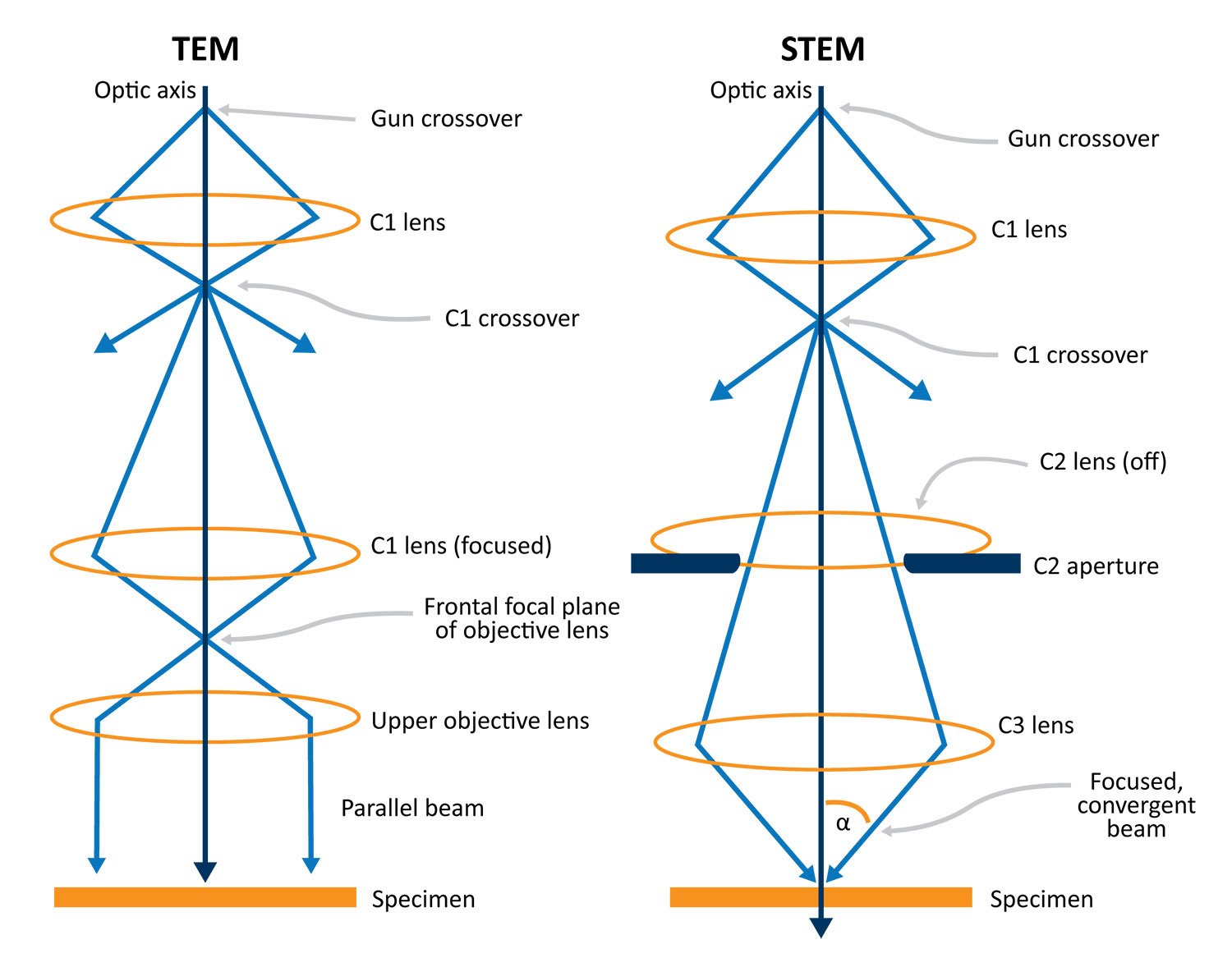Schematic diagram of the beam formation optics in TEM vs STEM